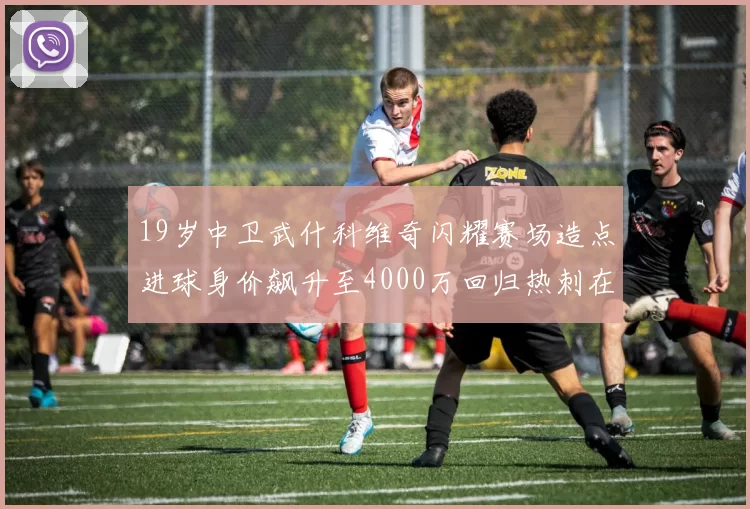 19岁中卫武什科维奇闪耀赛场造点进球身价飙升至4000万回归热刺在即